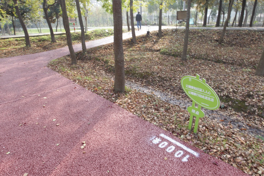 崇明三星镇育德村委市民健身步道.JPG
